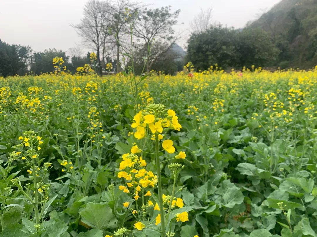 640 (4).jpg 640 (4).jpg