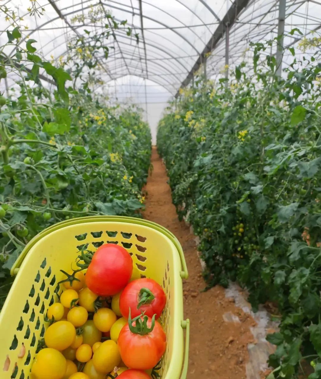 640 (5).jpg 640 (5).jpg